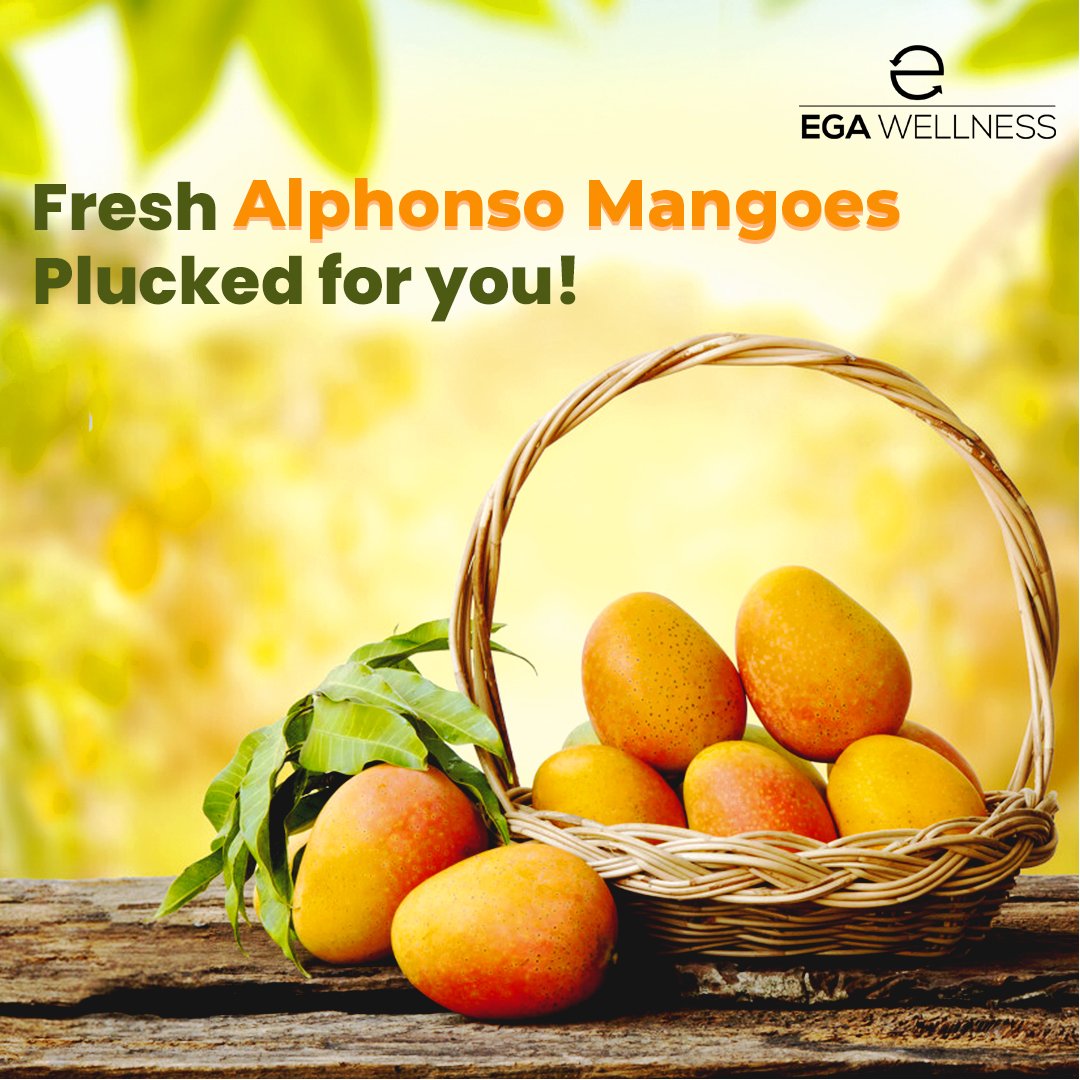Fresh Alphonso Mangoes image for brand